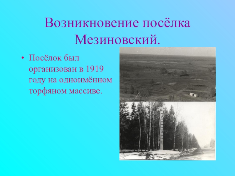 Возникновение посёлка Мезиновский.Посёлок был организован в 1919 году на одноимённом торфяном массиве.