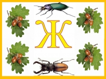 Презентация по чтению Звук и буква Ж (1 класс)