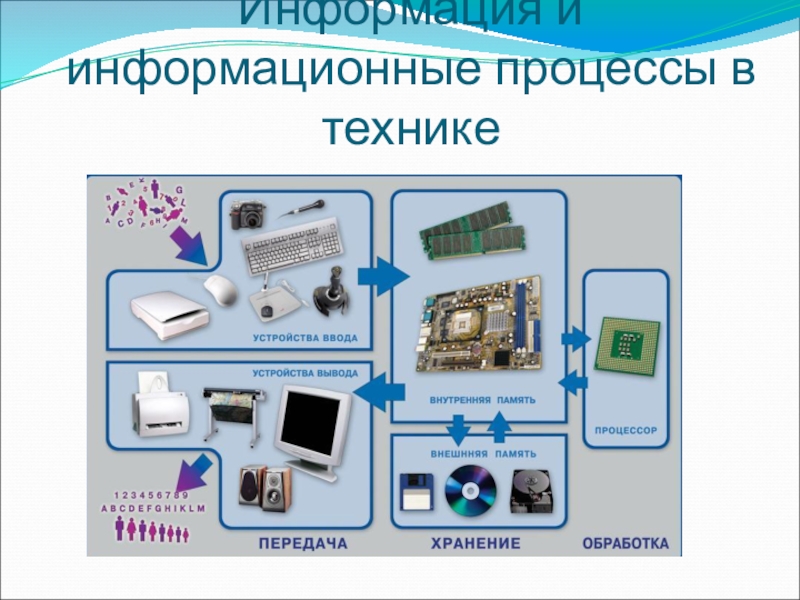 Мини проект 10 класс информатика - 89 фото