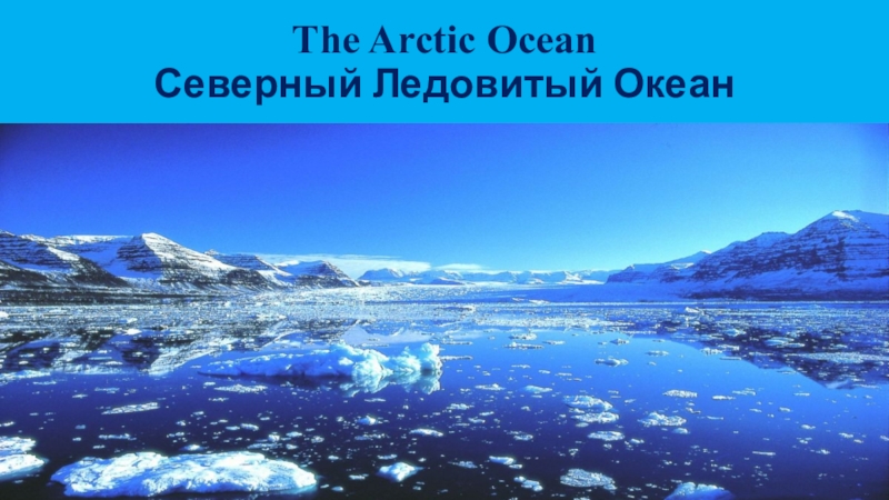 The Arctic Ocean Северный Ледовитый Океан