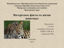 Презентация по биологии на тему: Интересные факты из жизни животных (7 класс).