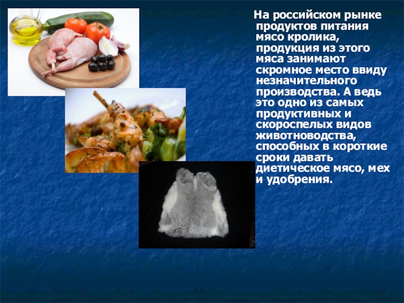 На российском рынке продуктов питания мясо кролика, продукция из этого мяса занимают скромное место ввиду