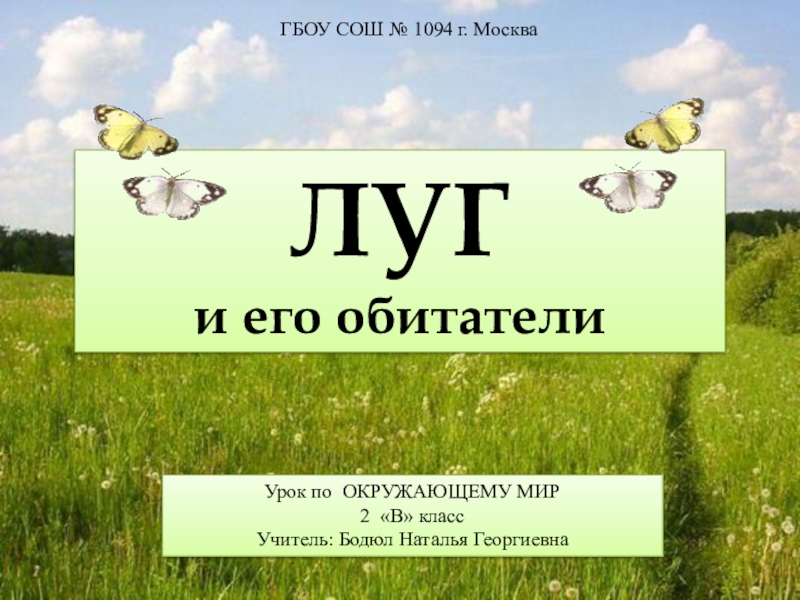 Презентация по окружающему миру 2 класс животные луга школа 21 века