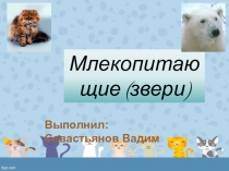 Презентация по окружающему миру  Млекопитающие