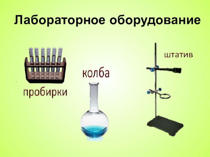 Лабораторное оборудование класс. Лабораторное оборудование по биологии. Лабораторные приборы по биологии. Лабораторное оборудование 5 класс. Лабораторное оборудование для лабораторных работ по биологии.