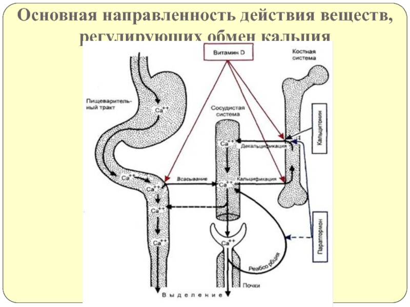 Вещества регулирующие