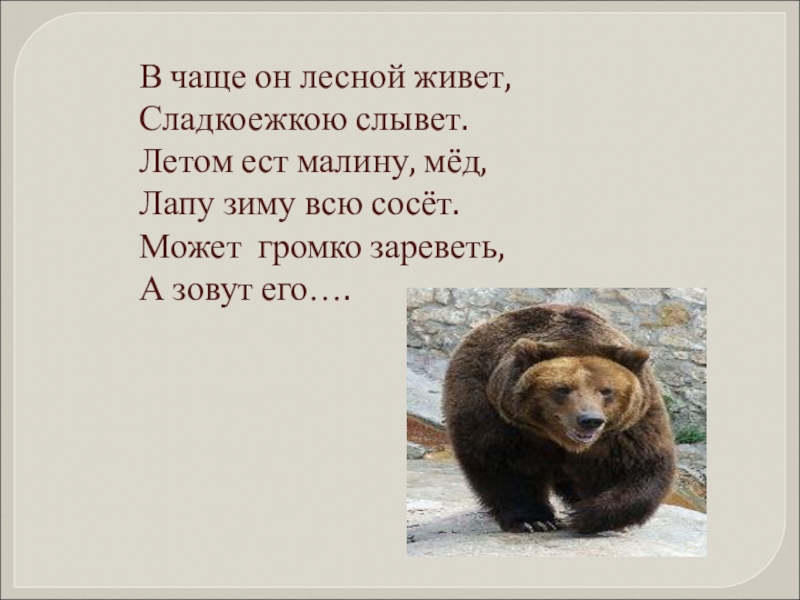 Презентация 1 класс сапгир про медведя. Литературное чтение про медведя. Стихотворение про медведя 1 класс. Стих про медведя г Сапгир. Стих про медведя 1 класс.