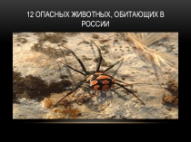 Опасные животные России