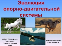 Презентация по биологии на тему Эволюция опорно-двигательной системы (7 класс)