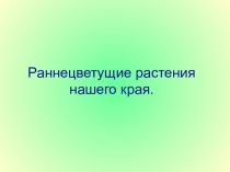 Классный час Первоцветы Белгородского края!