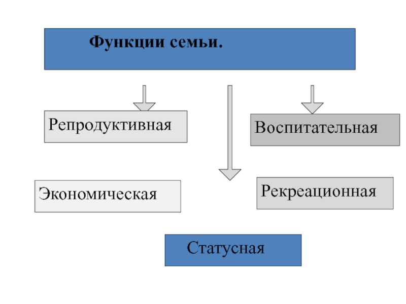 Рекреационная функция семьи пример. Рекреационная функция семьи. Репродуктивная функция семьи. Функции семьи Обществознание. Экономическая функция семьи.