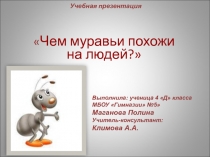Чем муравьи похожи на людей
