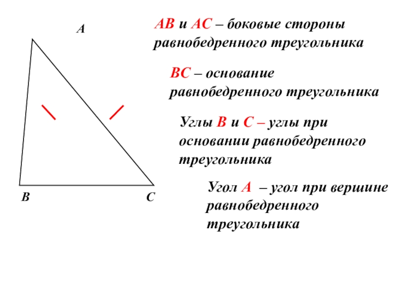AB и AC – боковые стороны равнобедренного треугольникаBC – основание равнобедренного треугольникаУглы B и C – углы