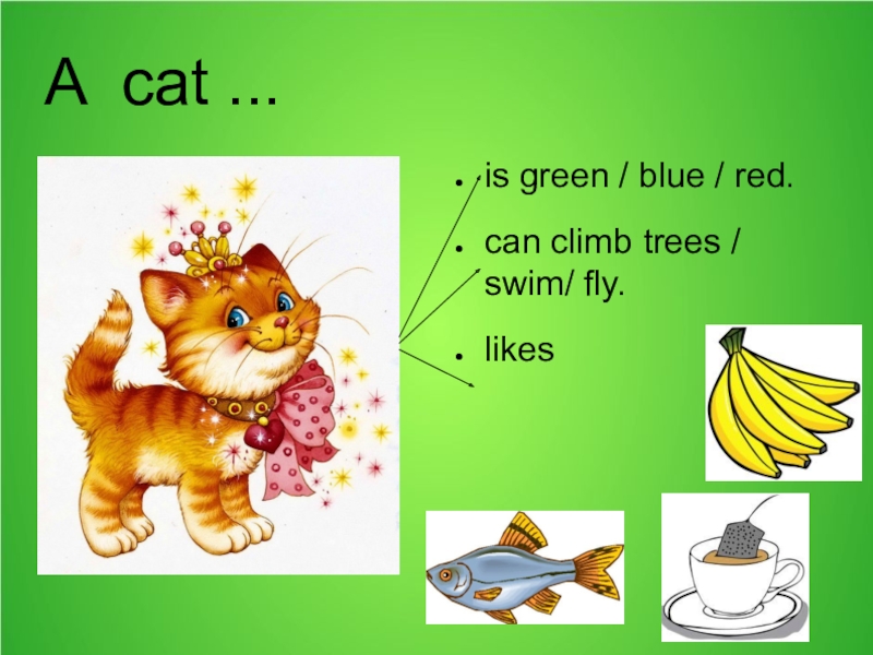 Перевод can climb out in the sun. Can Cats Climb Trees. Картинки a Cat can Climb for Kids. Карточка a Cat can. This animal can Swim and Fly 2 класс английский.