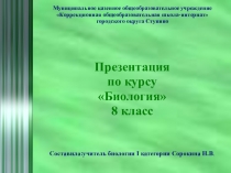 Презентация по биологии на тему Многообразие животного мира (8 класс, школа VIII вида).