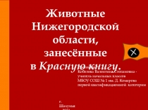 Презентация по окружающему миру на тему: Редкие позвоночные животные Нижегородской области.