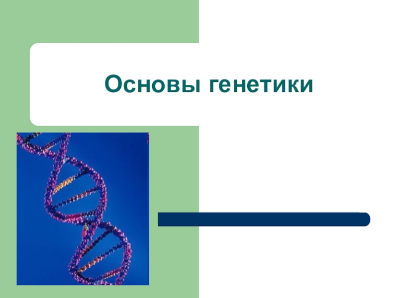 Основы генетики 9 класс презентация