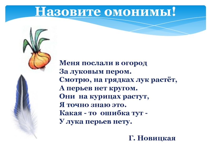 Перышко текст. Меня послали в огород за луковым пером. Предложения с омонимами лук. Лук омонимы примеры. Меня послали в огород за луковым пером смотрю на грядках лук растет.