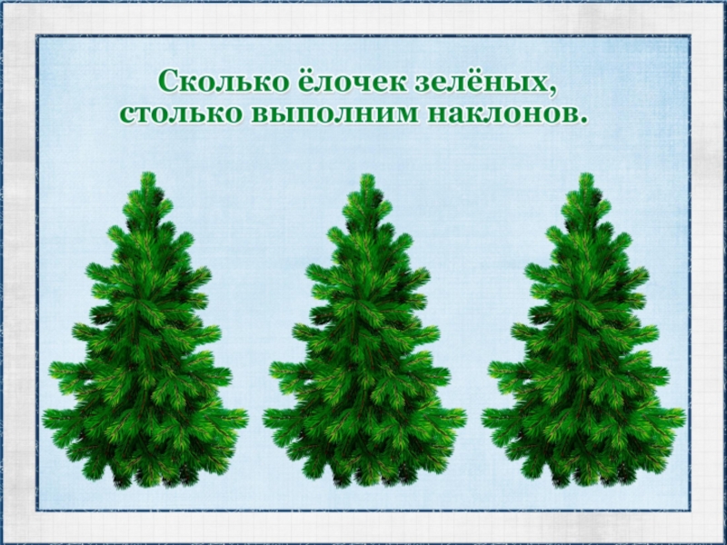 Раз елочка. Сколько елочек зеленых столько выполним наклонов. Елочки для ФЭМП. Физкультминутка сколько елочек зеленых. Сколько елочек зеленых.