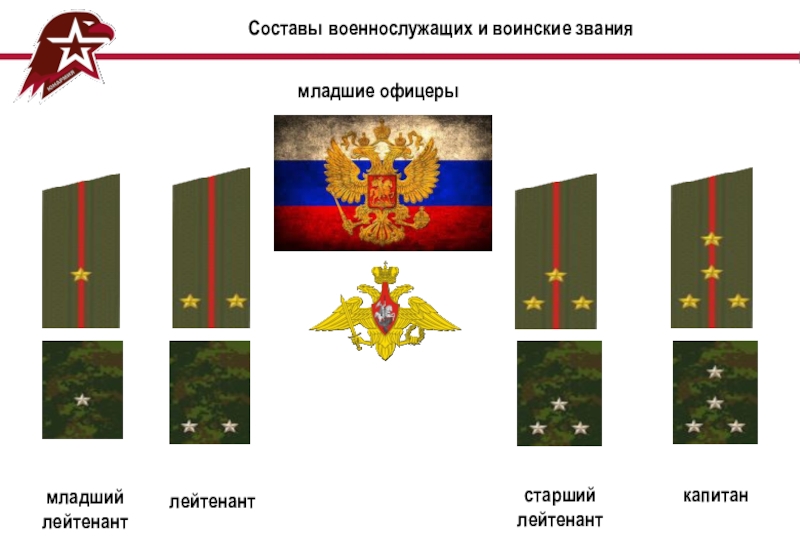 Состав военнослужащих. Младший офицерский состав звания. Младшие войсковые офицеры звание. Младший состав военнослужащих. Воинские звания младшего офицерского состава.