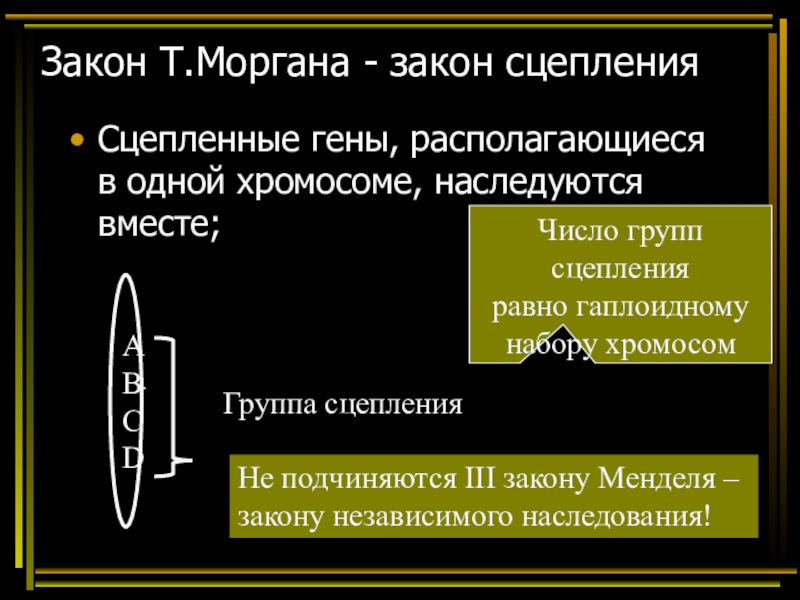 Закон моргана биология презентация