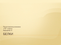 Презентация по окружающему миру ученика 4 класса на тему Животные леса.