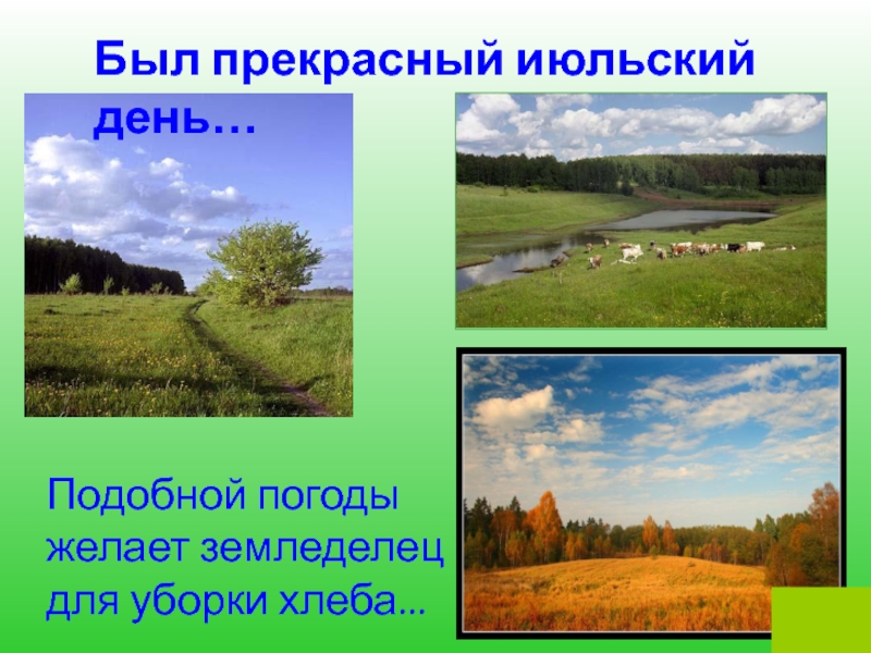 Был прекрасный июльский день… Подобной погоды желает земледелец для уборки хлеба...