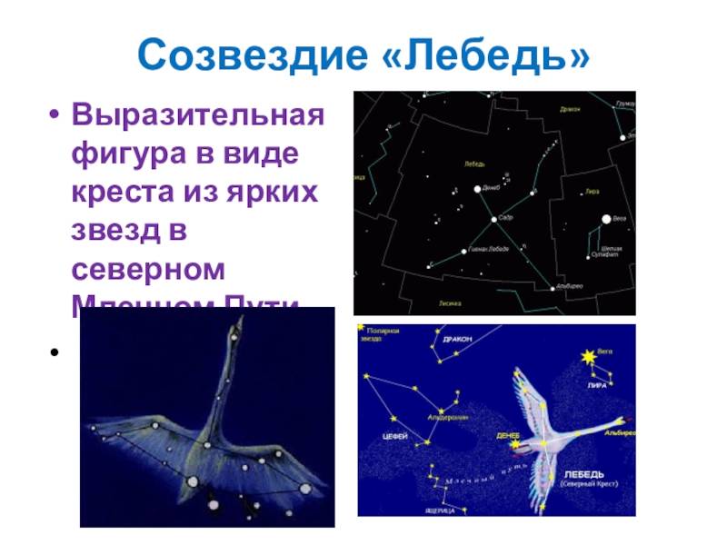 Созвездие крест. Созвездие лебедь самая яркая звезда. Созвездие лебедь Северный крест. Звезда в созвездии Северный крест лебедя. Созвездие в виде Креста.