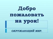 Презентация к уроку окружающего мира на тему Птичьи секреты. 2 класс УМК Перспектива.