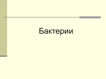 Презентация по биологии на тему Бактерии