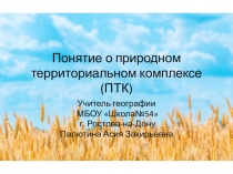 Презентация по географии на тему :Понятие о природном территориальном комплексе