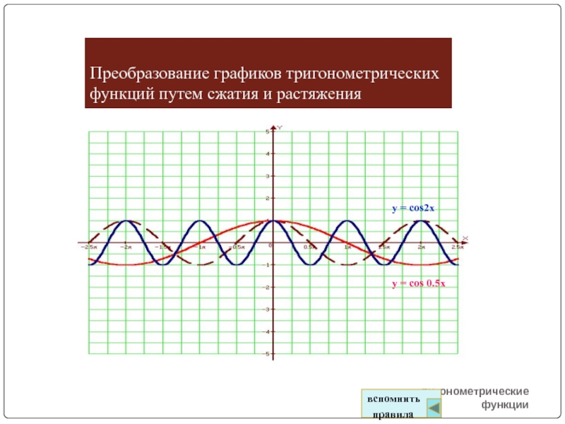 Презентация тригонометрические функции и их графики 10 класс