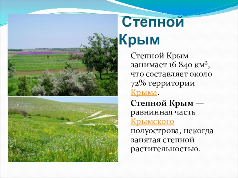 Степной КрымСтепной Крым занимает 16 840 км², что составляет около 72% территории Крыма. Степной Крым —