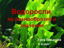 Презентация по биологии на тему Водоросли