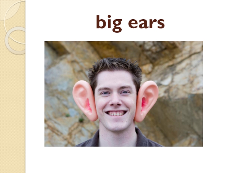 It s got small ears. Big Ears. Big Ears перевод. Big Ears на русском. Big Ears looksmaz.