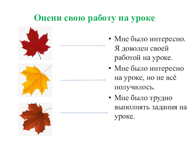 Оцени свою работу на урокеМне было интересно. Я доволен своей работой на уроке.Мне было интересно на уроке,