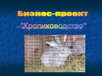 Бизнес-проект кролиководство