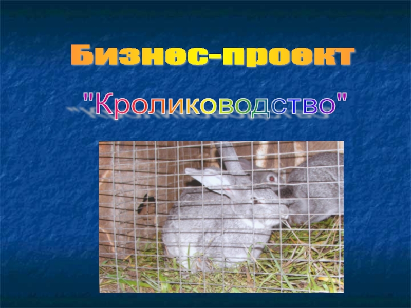 Бизнес-проект кролиководство