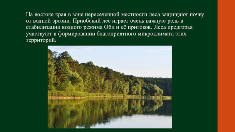 Как лес защищает почву. Описание местности леса. Предохраняемые Лесные зоны. От чего лес защищает почву. Как лес защищает почву 4 класс.