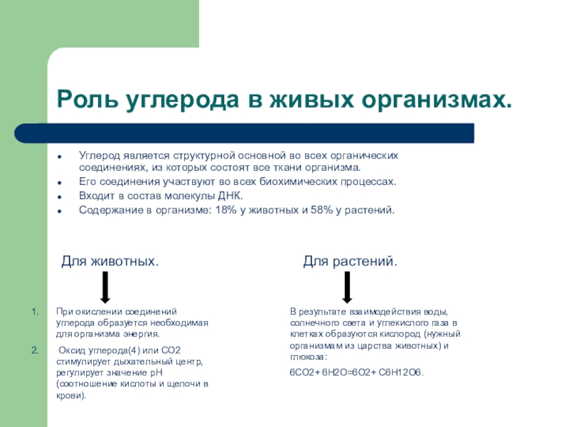 Проект углерод в моем организме