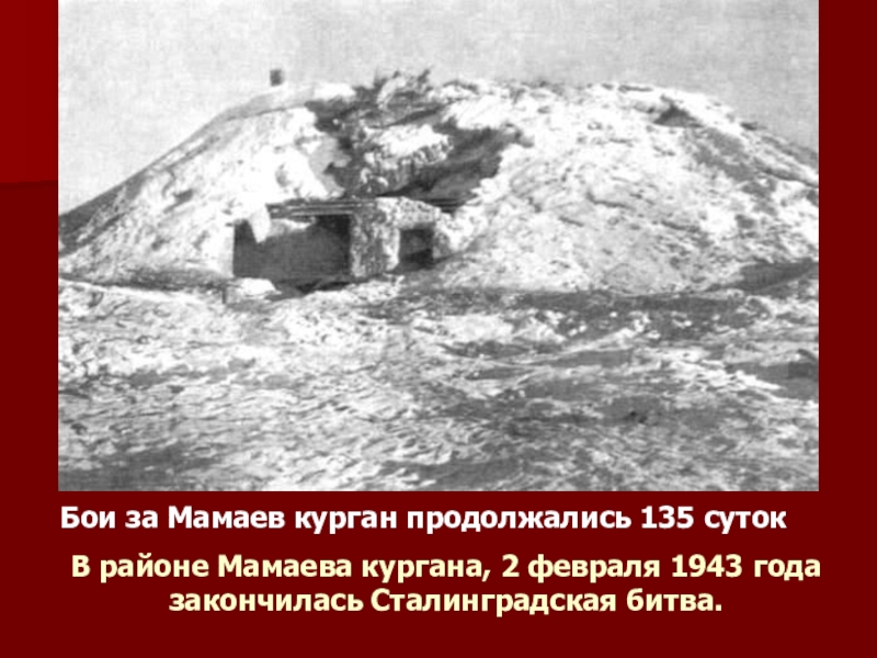 Бои за Мамаев курган продолжались 135 суток В районе Мамаева кургана, 2 февраля 1943 года закончилась Сталинградская