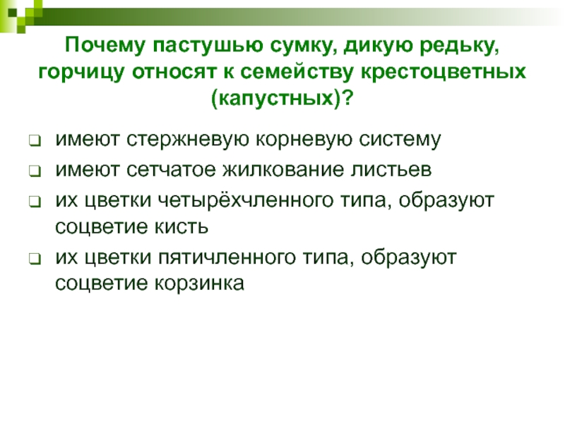 Почему пастушью сумку, дикую редьку, горчицу относят к семейству крестоцветных (капустных)?  имеют стержневую корневую систему   имеют сетчатое жилкование листьев   их