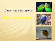 Поезентация по биологии Құстар класы (7 класс)