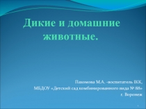 Дикие и домашние животные.