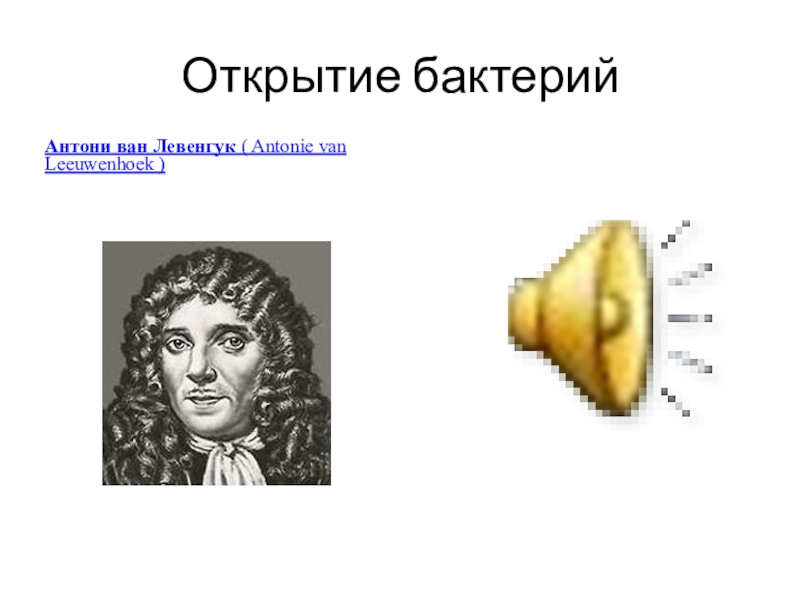 Какой метод использовал антони ван левенгук