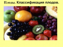 Плоды. Классификация плодов.