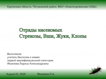 Отряды насекомых Стрекозы, Вши, Жуки, Клопы