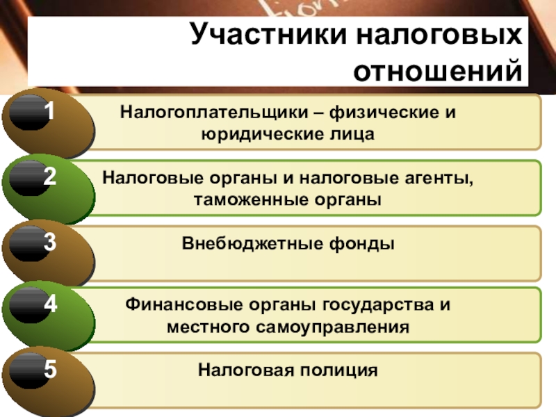 Презентация по праву налоговое право