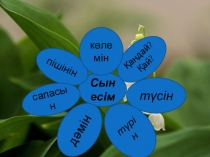 Презентация по казахскому языку Сын есім (2 класс)