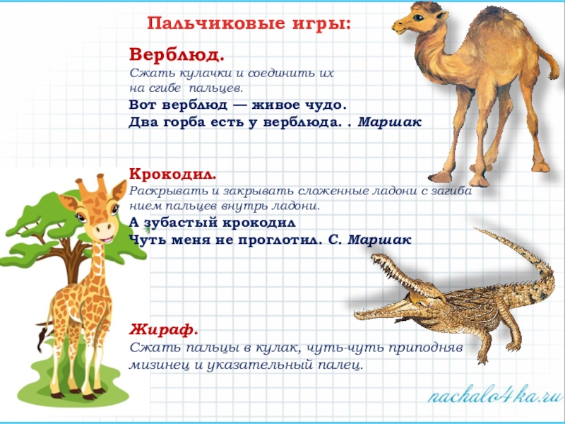 Звуковая схема слова верблюд